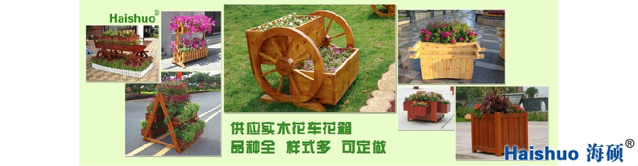 3616752099_792079564.jpg 3616752099_792079564.jpg